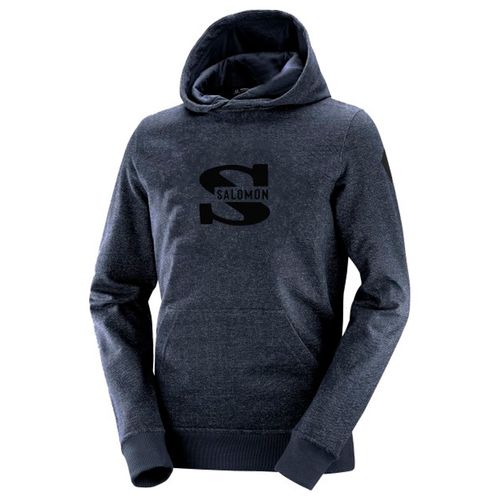 Buzo Salomon Logo Hoodie II Junior