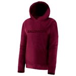 Buzo-Salomon-Polar-LT-Hoodie-II-Invierno-Niños-Biking-Red-18301