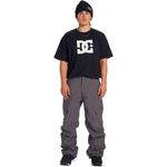 Pantalon-DC-Shoes-Banshee-10K-Ski-Snowboard-Hombre-Magnet-1252136004-3