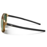 Lentes-de-Sol-Julbo-Ward-Spectron-3-Urbano-Uso-Diario-Marron-Claro-Translucido-Negro-J5861151-2.jpg