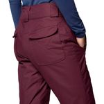 Pantalon-Columbia-Bugaboo-II-Ski-Snowboard-Mujer-Moonvista-2085941-607-4