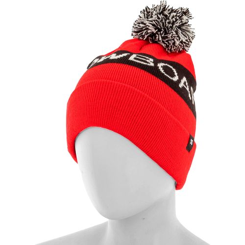 Gorro DC Shoes Beanie Chester Unisex